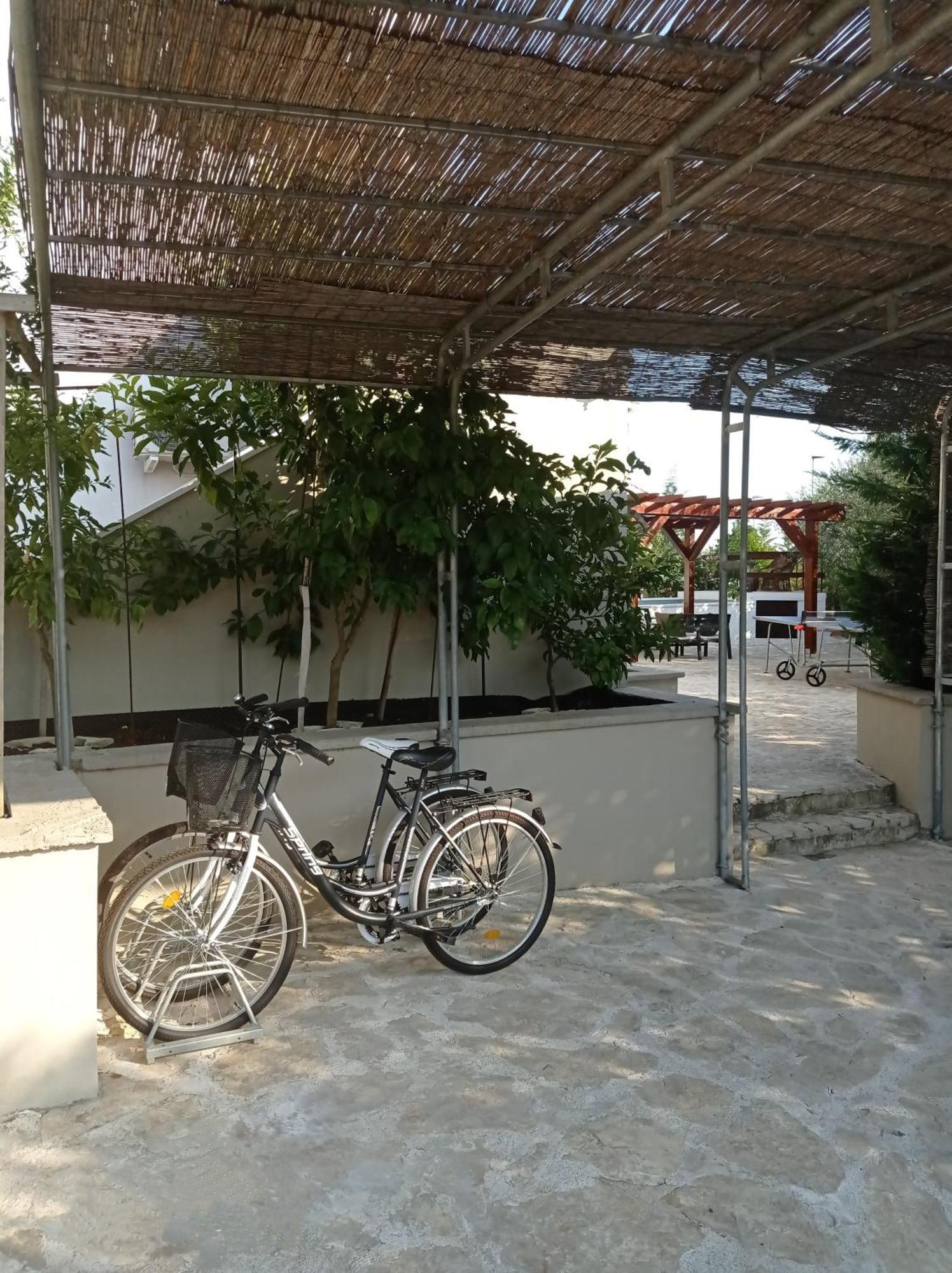 Villa Niko With Private Swimming Pool Zadar Eksteriør billede